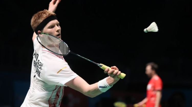 一位刚入坑 一位刚入坑